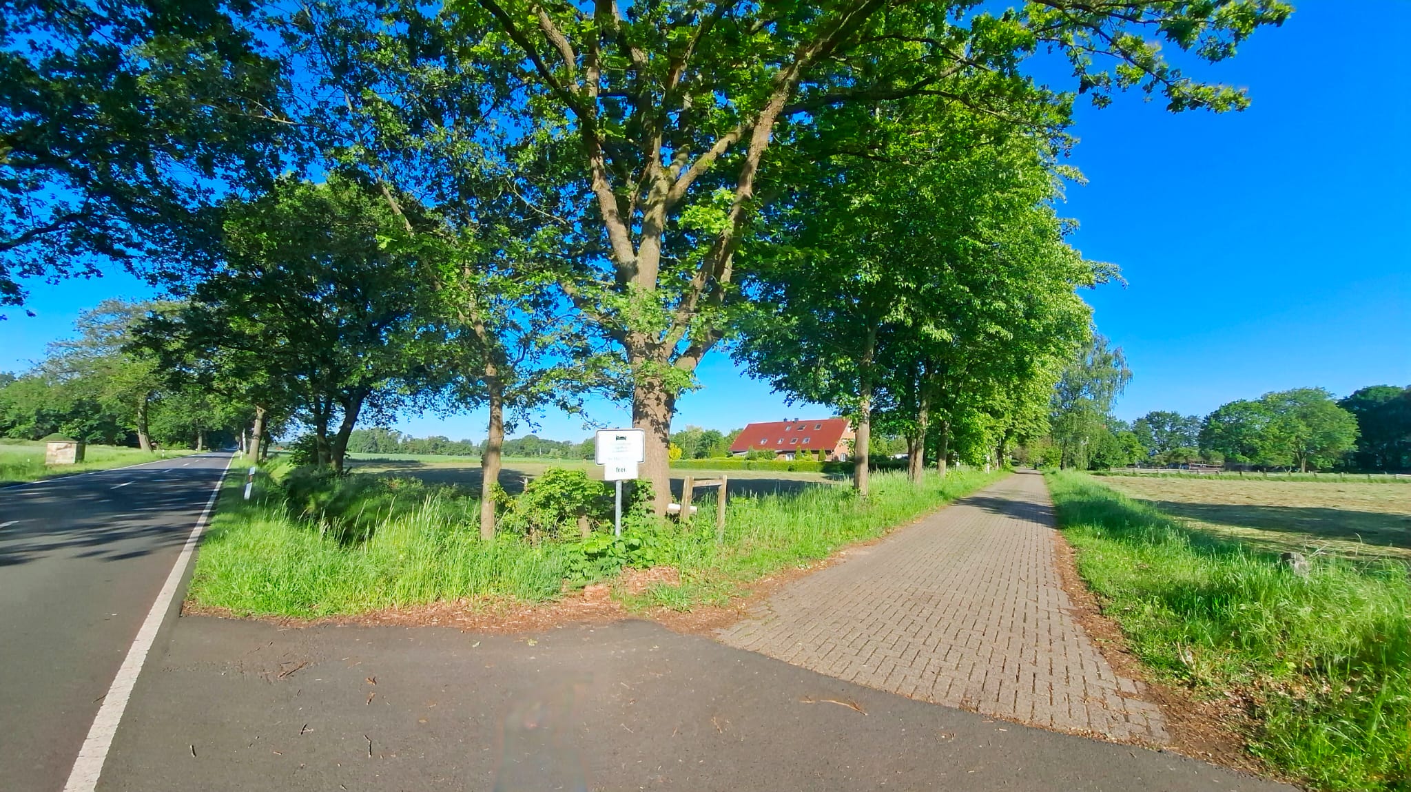 Ansicht Zufahrt